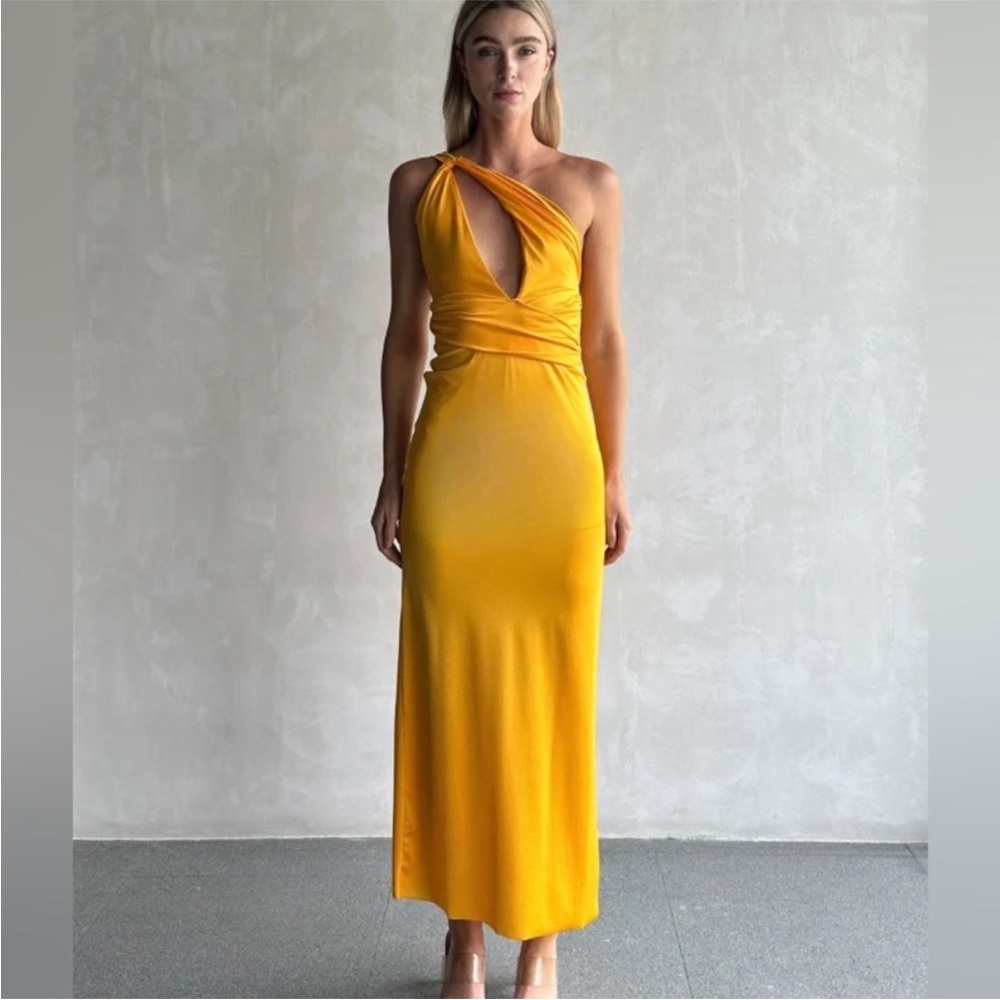 NWT Baobab Lola Dress in Garota